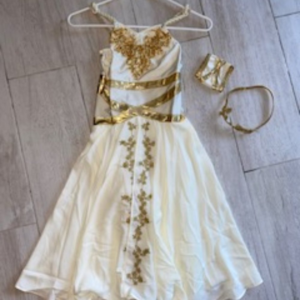 Dance performance/Halloween Greek goddess costume
